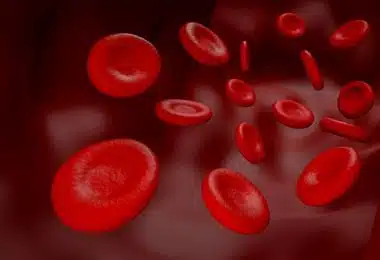 kan uyuşmazlığı